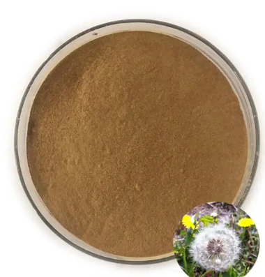 dandelion extract powder.png